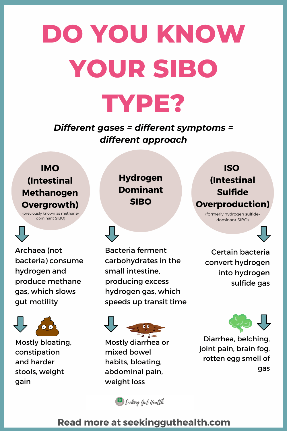 Understanding SIBO Types: Hydrogen, Methane, and Their Unique Symptoms